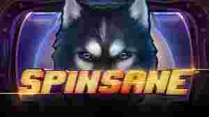 Spinsane Game Slot Online - Bimbingan Komplit mengenai Permainan Slot Online" Spinsane". Pabrik game slot online lalu bertumbuh dengan kilat