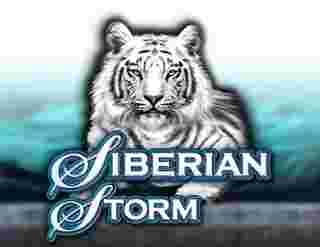 Siberian Storm Game Slot Online - Slot online sudah jadi salah satu wujud hiburan digital yang amat terkenal dalam sebagian